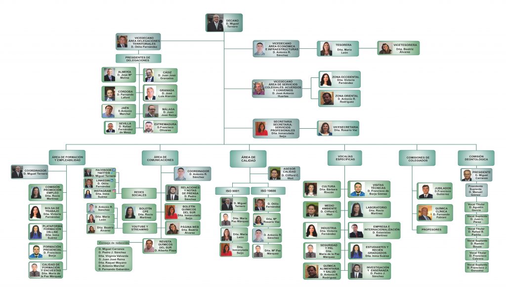 Ilustre Colegio Oficial De Quimicos Del Sur Junta Directiva Y Organizacion