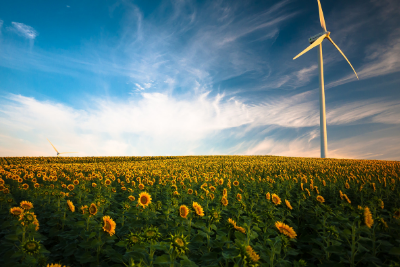 Sistemas de Gestión Ambiental ISO 14001