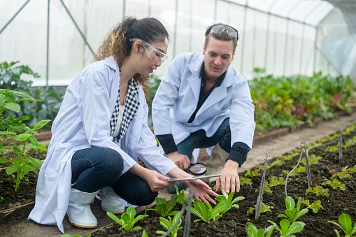 Sistemas de Gestión de la Seguridad Alimentaria según FSSC 22000