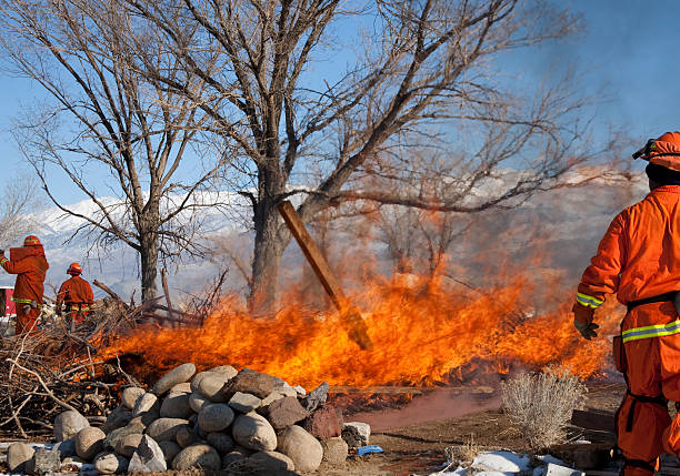 CURSO ONLINE: INTERVENCIÓN DE URGENCIA EN SINIESTROS MEDIOAMBIENTALES