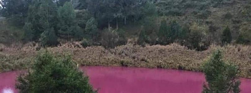 La laguna de Cuenca que se volvió rosa por un raro fenómeno químico