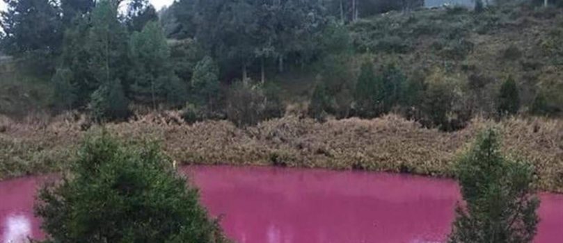 La laguna de Cuenca que se volvió rosa por un raro fenómeno químico