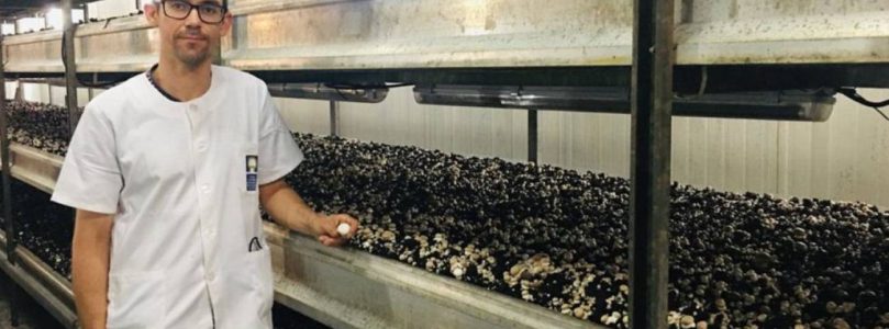 Jaime Carrasco, este químico agrícola trabaja en un proyecto internacional para sustituir el uso de la turba en el cultivo del champiñón