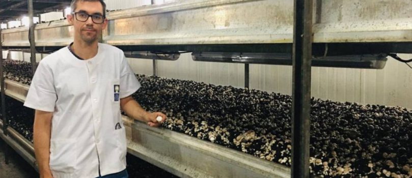 Jaime Carrasco, este químico agrícola trabaja en un proyecto internacional para sustituir el uso de la turba en el cultivo del champiñón