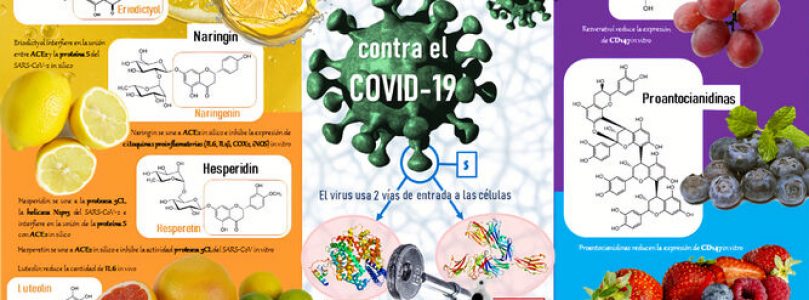 Limones y frutos rojos para frenar el coronavirus
