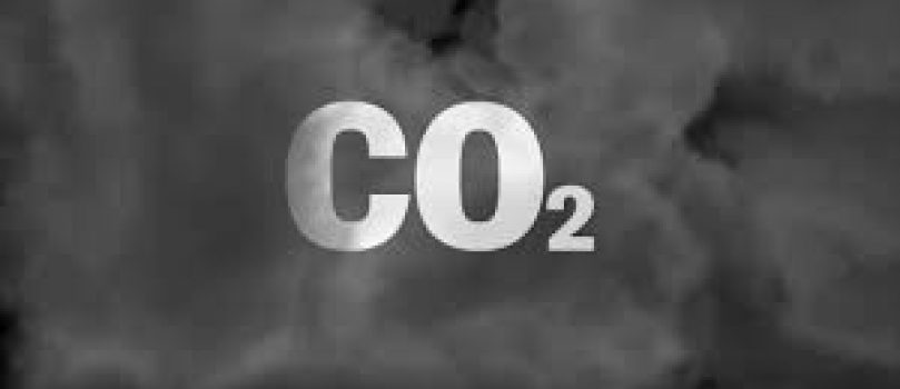 SE ENCUENTRAN CATALIZADORES PARA CONVERTIR EL CO2 EN COMBUSTIBLE