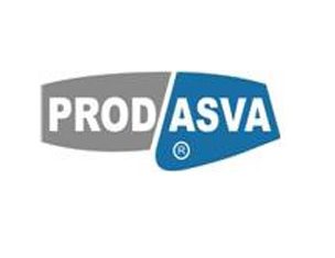 PRODASVA CONSULTORÍA Y GESTIÓN, S.L. PRODASVA CONSULTORÍA Y GESTIÓN, S.L.