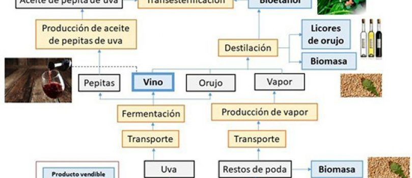 Nuevo biocombustible a partir de residuos de la producción de vino